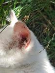     
: IMG_20190621_115617.jpg
: 126
:	70.6 
ID:	13149259