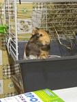     
: IMG_20190621_215501.jpg
: 8
:	70.5 
ID:	13149755