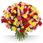     
: 101-r.-variees-750-198-800x800.jpg
: 22
:	71.9 
ID:	13150051