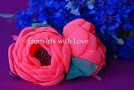     
: DSC08814.jpg
: 17
:	116.5 
ID:	13150569