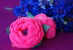     
: DSC08816.jpg
: 14
:	103.6 
ID:	13150571