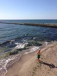     
: IMG_0008.jpg
: 44
:	123.1 
ID:	13152806