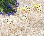     
: IMG_20190621_023025-01.jpg
: 9
:	135.1 
ID:	13153159