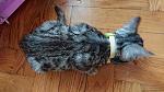     
: DSC_1930.jpg
: 22
:	111.0 
ID:	13153642
