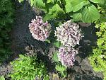     
: 67E64810-53BE-4E61-B7D2-20B5531E6931.jpg
: 11
:	185.3 
ID:	13155347