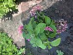     
: 89F76973-74B3-4036-8319-CACE352BA090.jpg
: 12
:	184.7 
ID:	13155348