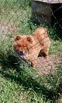     
: IMG-4179d001b1b75615d9eaf3fcc3c9fb2b-V.jpg
: 88
:	158.9 
ID:	13156016