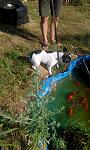    
: IMG-f4f2d864279011eb9eba3545c60da820-V.jpg
: 75
:	148.1 
ID:	13156018