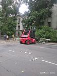     
: IMG_20190703_165524.jpg
: 55
:	134.8 
ID:	13156987