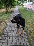     
: IMG_20190703_203220.jpg
: 19
:	166.5 
ID:	13157275