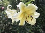     
: ECECAB28-91AD-4CE2-B6A5-1E014FACA8E0.jpg
: 11
:	89.8 
ID:	13158809