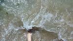    
: P90707-100616.jpg
: 45
:	151.9 
ID:	13160036
