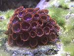     
: IMG_6519.jpg
: 16
:	166.9 
ID:	13161374