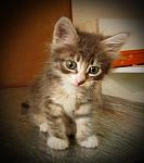     
: IMG_20190709_195749.jpg
: 8
:	91.6 
ID:	13162687