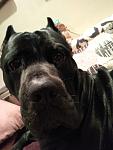     
: IMG_20190127_114903_HHT.jpg
: 23
:	64.8 
ID:	13164040