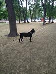     
: IMG_20180725_064559.jpg
: 17
:	141.8 
ID:	13164041