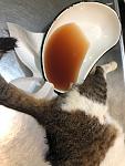     
: IMG_1934.jpg
: 37
:	101.0 
ID:	13164057