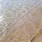     
: IMG_20190713_082622_800.jpg
: 36
:	169.3 
ID:	13164276