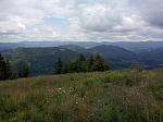     
: IMG_20190712_121120.jpg
: 26
:	171.5 
ID:	13165137