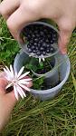     
: 20190706_131250.jpg
: 29
:	107.1 
ID:	13165143