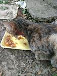     
: IMG_20190708_154745.jpg
: 26
:	135.6 
ID:	13165361