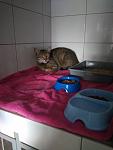     
: IMG_20190708_191606_1.jpg
: 23
:	59.1 
ID:	13165362