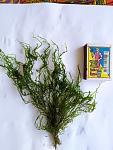     
: IMG_20190714_184419.jpg
: 8
:	103.9 
ID:	13165396