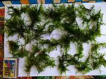     
: IMG_20190714_185039.jpg
: 12
:	260.1 
ID:	13165403