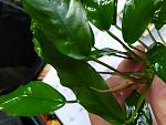     
: IMG_20190714_165953.jpg
: 12
:	96.6 
ID:	13165433