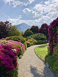     
: D7F1BB10-341C-4977-907A-528757A32567.jpg
: 130
:	105.4 
ID:	13166768