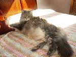     
: !IMG_6363.jpg
: 33
:	250.8 
ID:	13167614