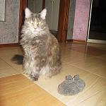     
: !IMG_6361.jpg
: 37
:	134.4 
ID:	13167616