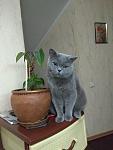     
: IMG_20180406_201326.jpg
: 11
:	73.1 
ID:	13167973