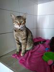     
: IMG_20190715_141635.jpg
: 18
:	55.2 
ID:	13168678