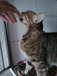     
: IMG_20190720_175544.jpg
: 20
:	80.2 
ID:	13168681