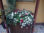     
: P90722-123605.jpg
: 19
:	213.8 
ID:	13169560