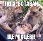    
: .jpg
: 25
:	59.1 
ID:	13169884