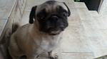     
: IMG-1f7beb9d1893521e603ea288c0bc1dec-V.jpg
: 17
:	107.0 
ID:	13170191