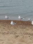     
: IMG_20190723_181041.jpg
: 41
:	93.9 
ID:	13170330