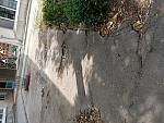     
: 20190723_142333.jpg
: 98
:	257.2 
ID:	13171609