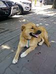     
: IMG_20190726_114934.jpg
: 23
:	112.8 
ID:	13172439