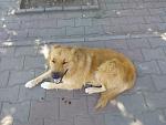     
: IMG_20190726_114944.jpg
: 18
:	111.3 
ID:	13172440