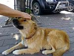     
: IMG_20190726_114950.jpg
: 19
:	206.2 
ID:	13172441