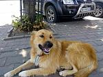     
: IMG_20190726_114954.jpg
: 22
:	210.4 
ID:	13172442