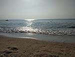     
: IMG_20190731_080831.jpg
: 57
:	201.6 
ID:	13173925