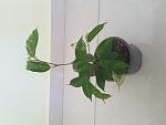     
: 20190802_094551.jpg
: 20
:	63.4 
ID:	13175064