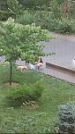     
: _20190803_143634.jpg
: 88
:	111.1 
ID:	13175907
