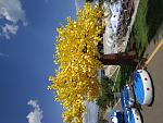     
: IMG_20190805_144733.jpg
: 51
:	199.9 
ID:	13178617
