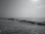     
: IMG_20190809_085156.jpg
: 66
:	112.0 
ID:	13181830