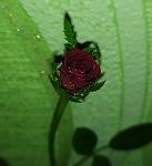     
: IMG_20190809_195851.jpg
: 14
:	55.0 
ID:	13182833